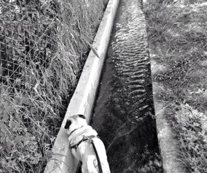 The one fortunate one